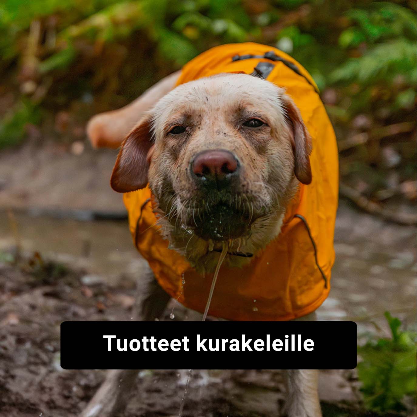 Tuotteet kurakeleille