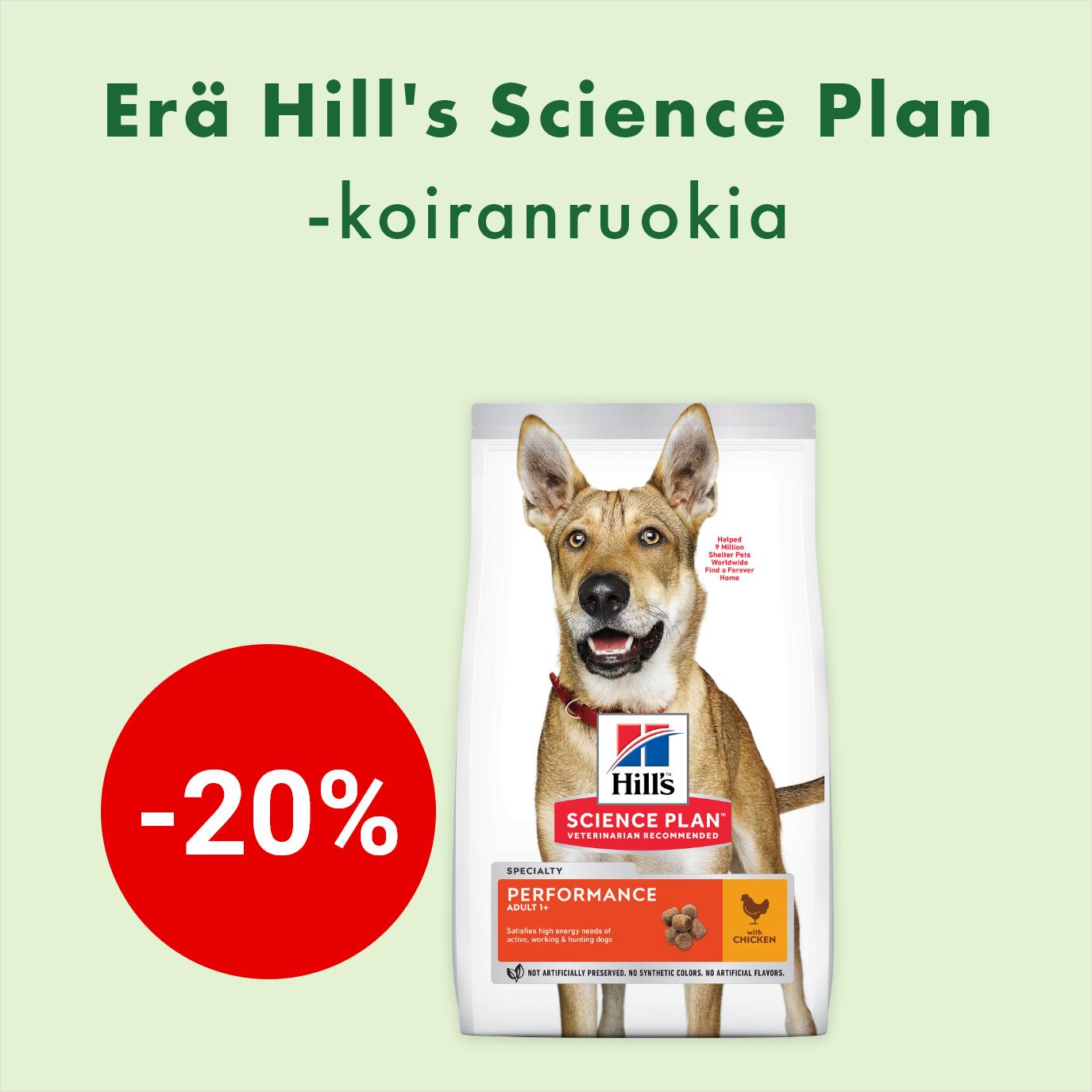 -20% Hills SP Performance -koiranruoka