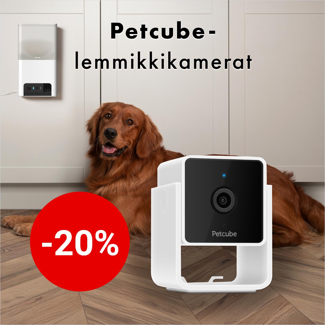-20% Petcube-lemmikkikamerat