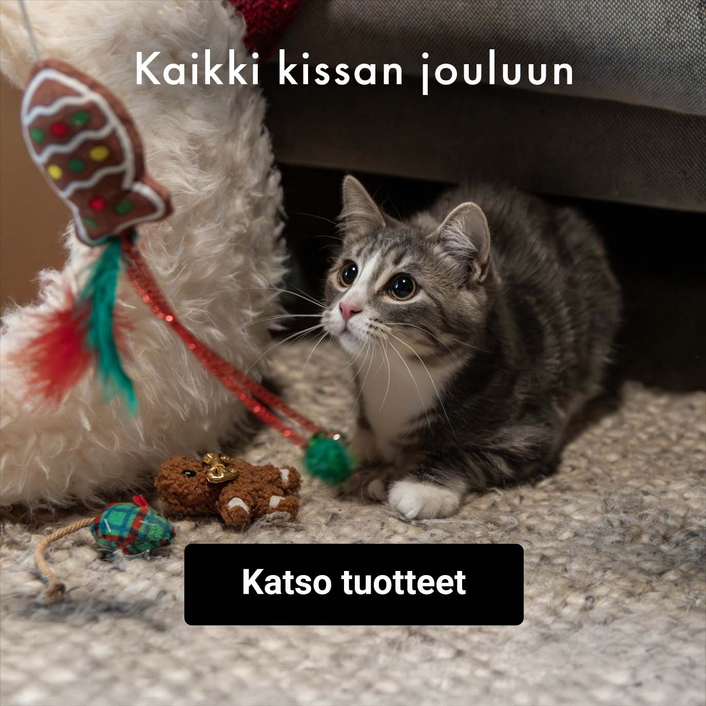 Kaikki lemmikin jouluun