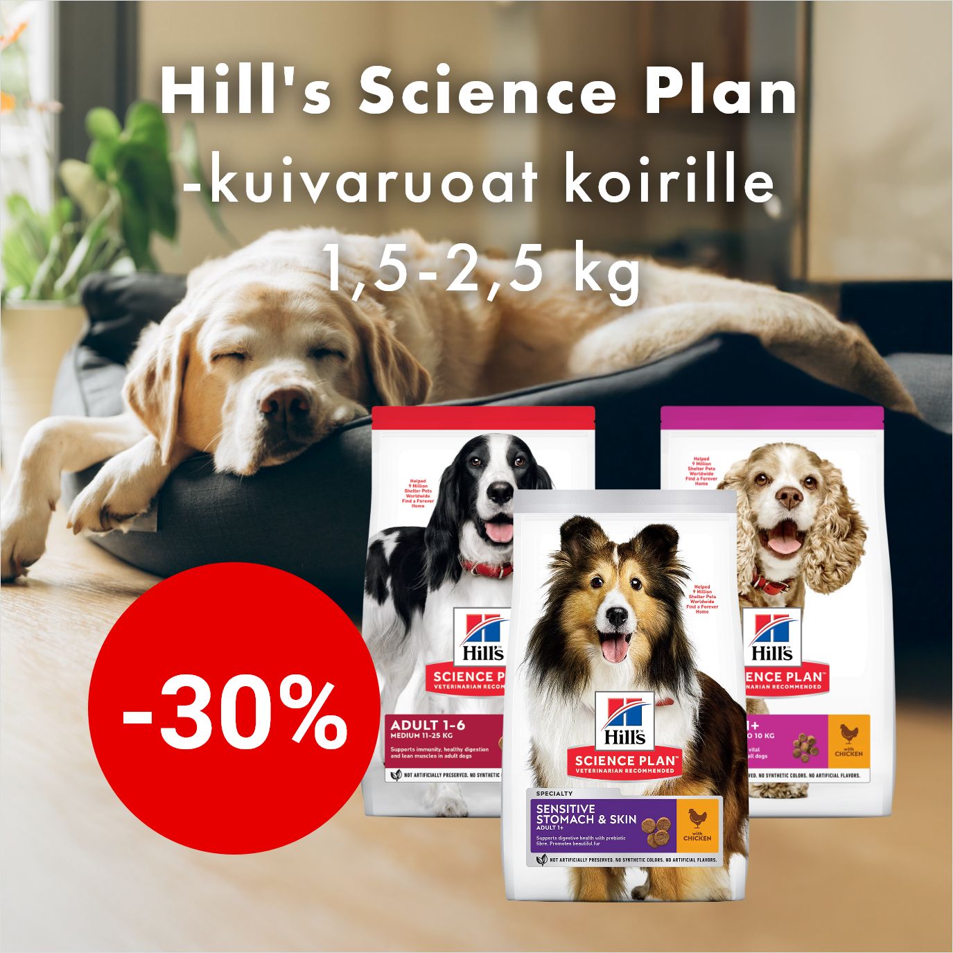 -30% Hills Science Plan -koiranruoat (pienet säkit)