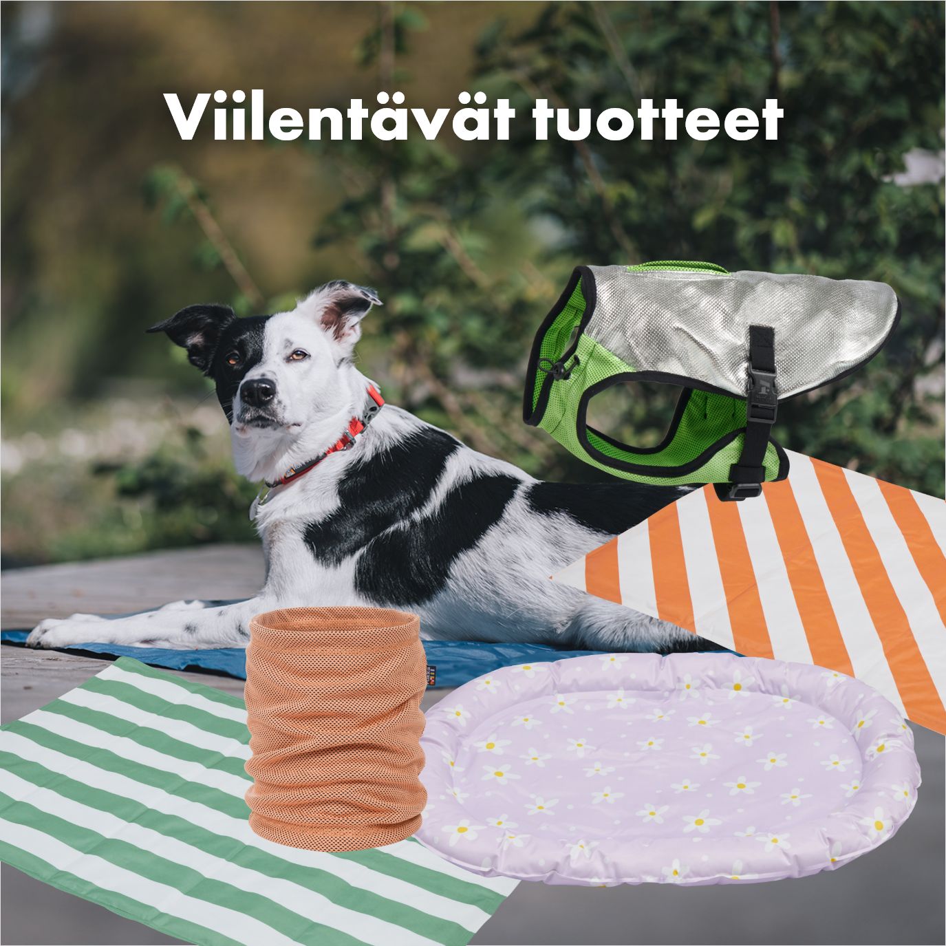 Viilentävät tuotteet