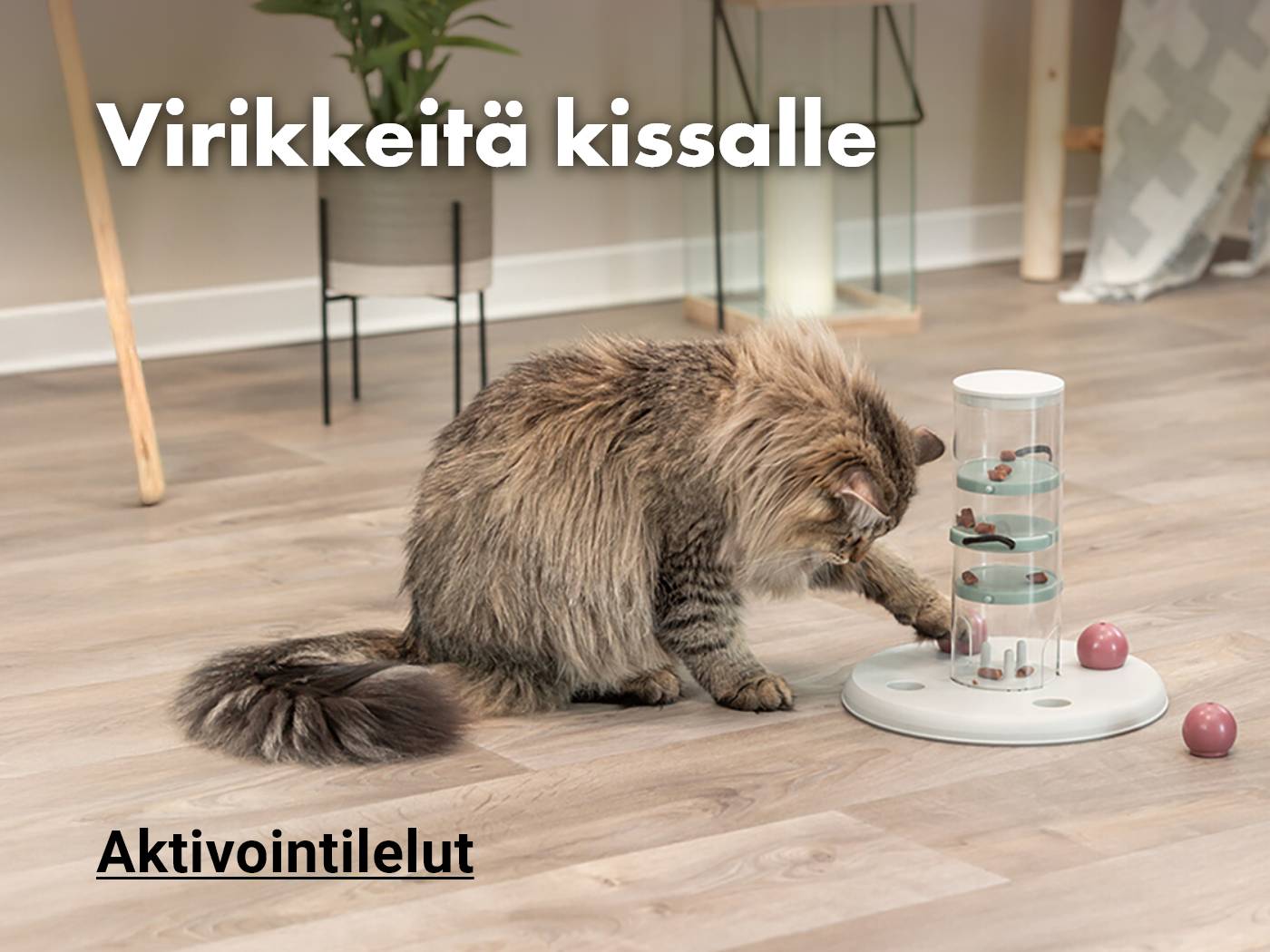 Kissan pelit ja aktivointilelut - katso tuotteet!