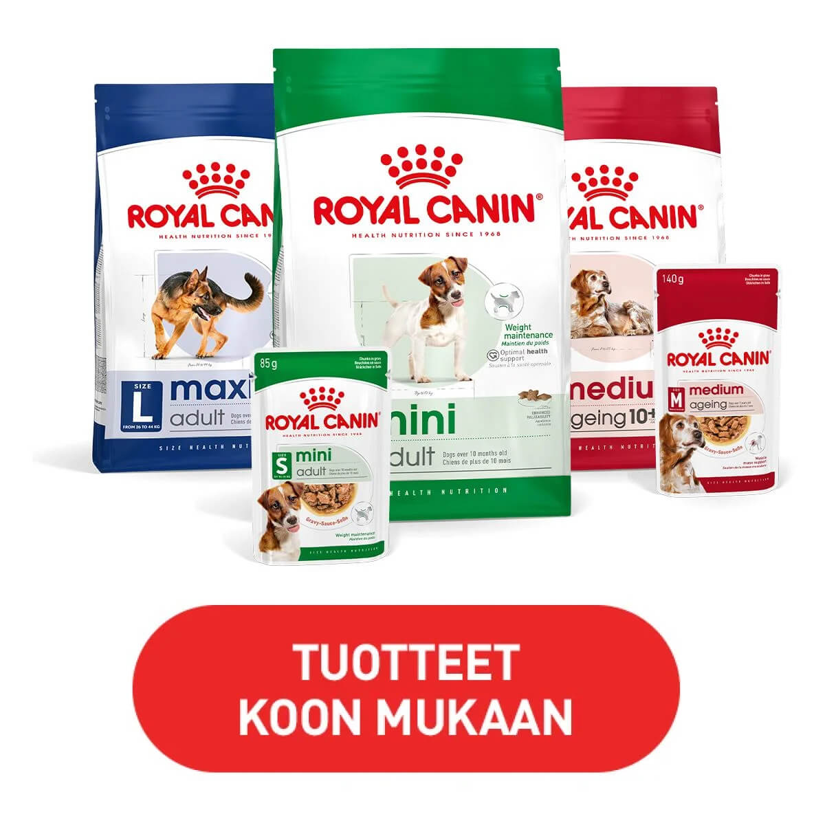 Royal Canin SHN