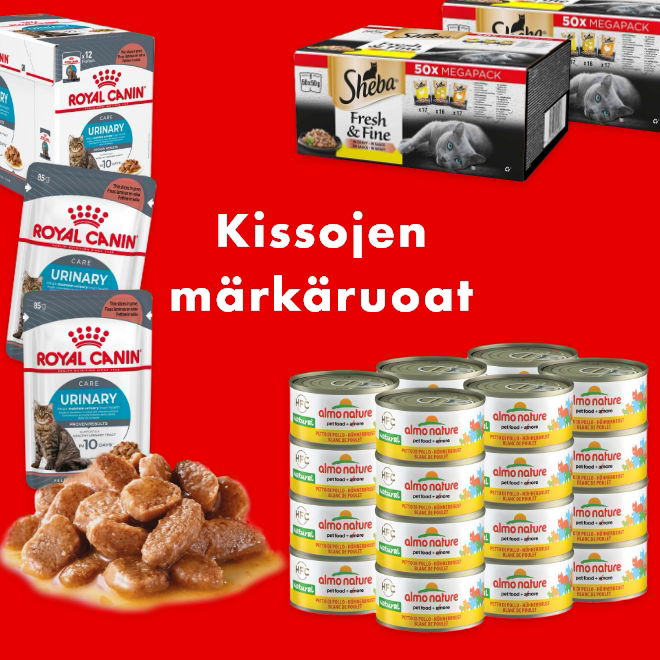 Kissan märkäruoat