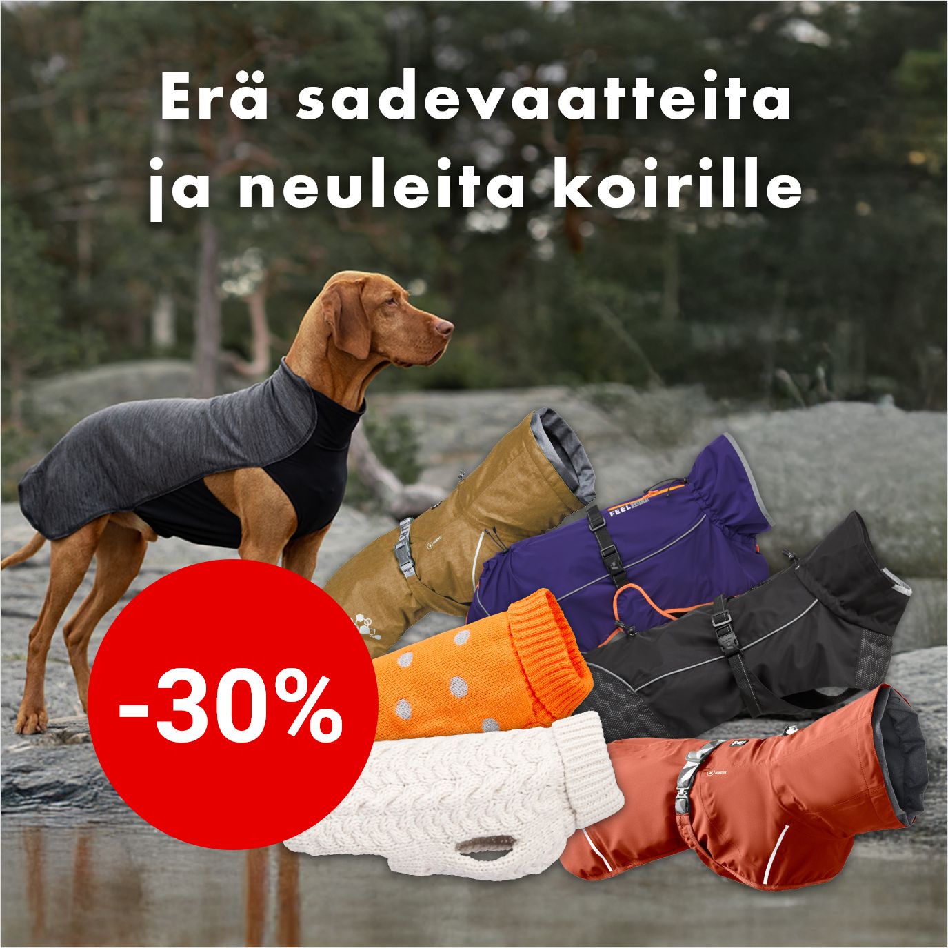  Erä sadetakkeja ja neuleita koiralle -30% 26.10. asti