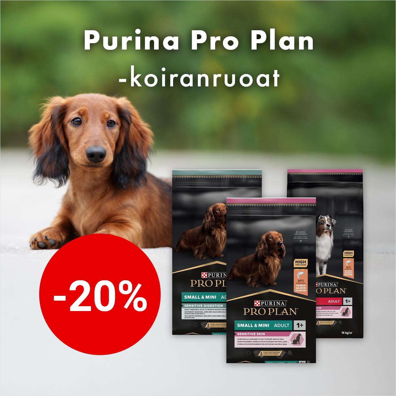 -20% Purina Pro Plan -koiranruoat. Kampanja voimassa 30.9. saakka.