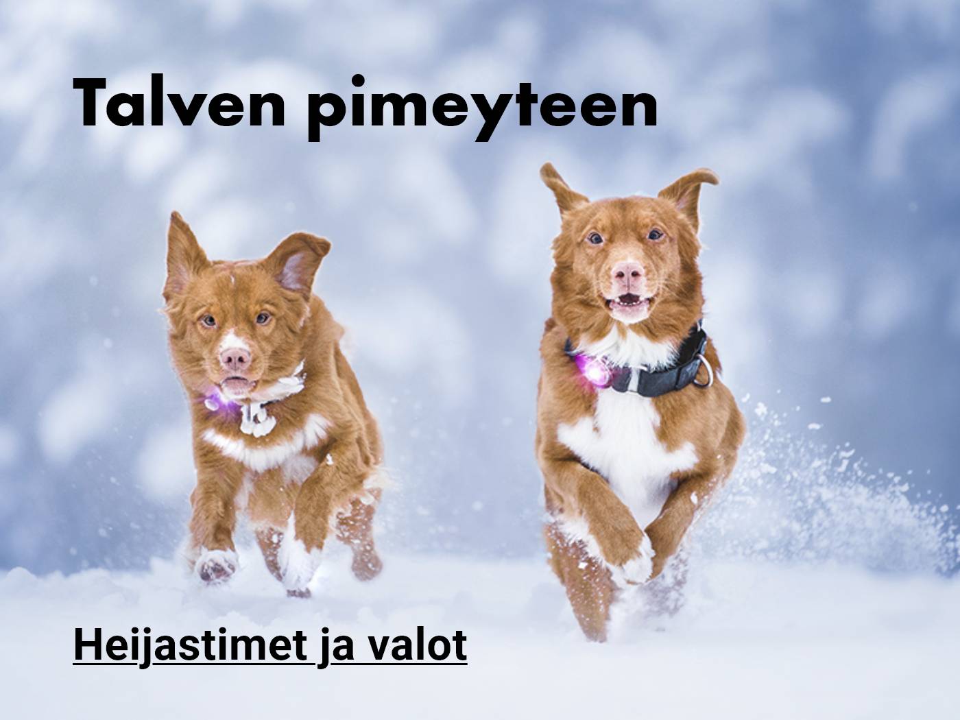 Valot ja heijastimet talven pimeyteen