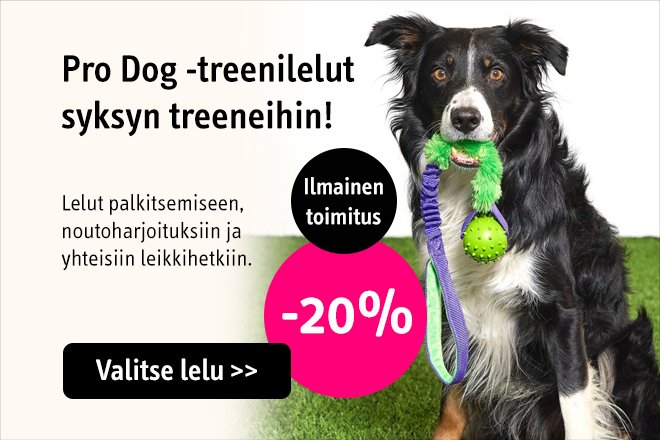 Pro Dog Bungee -treenilelut koirille -20%