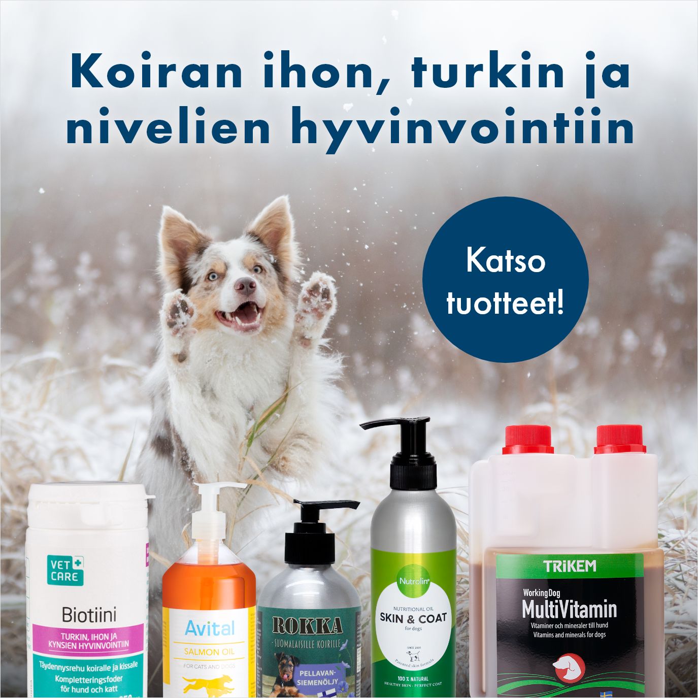 &Ouml;ljyt, vitamiinit ja lis&auml;ravinteet koirille 