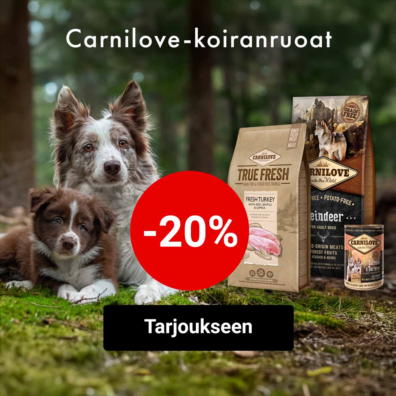 -20% Carnilove-koiranruoat