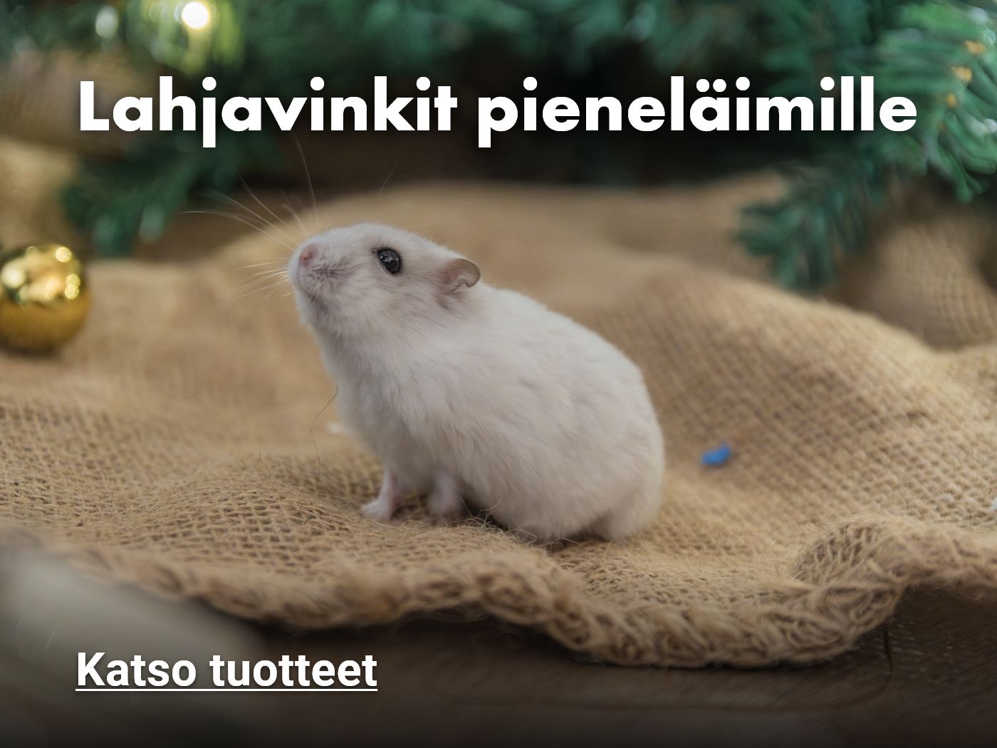 Lahjavinkit pieneläimille