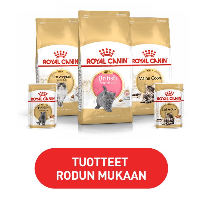 Räätälöidyt Royal Canin -ruoat koirille ja kissoille 