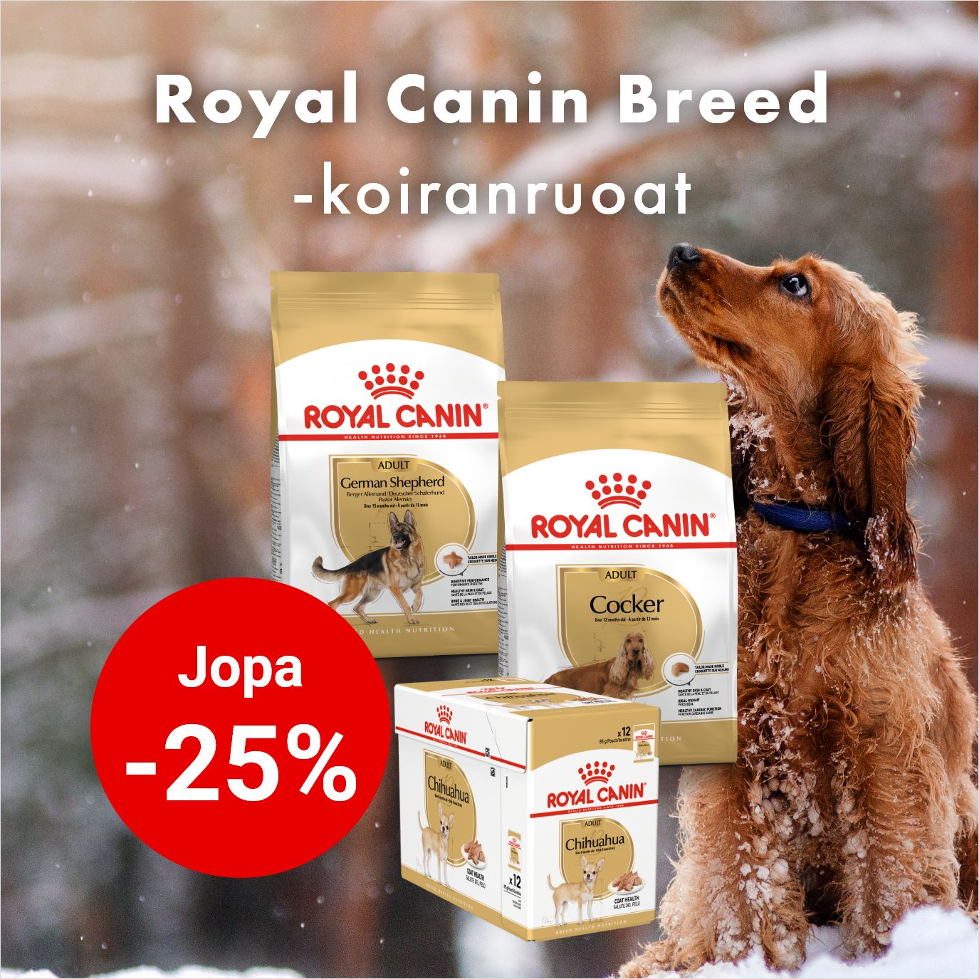 Royal Canin Breed koiranruoat jopa -25% 28.2.2026 asti