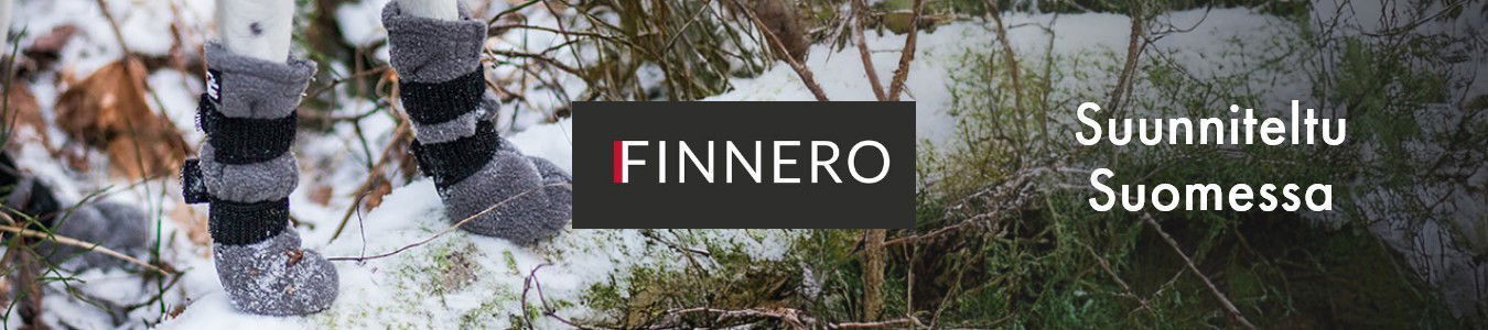 FinNero