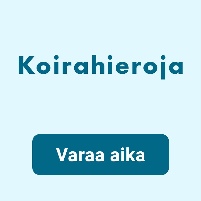 Koirahieroja