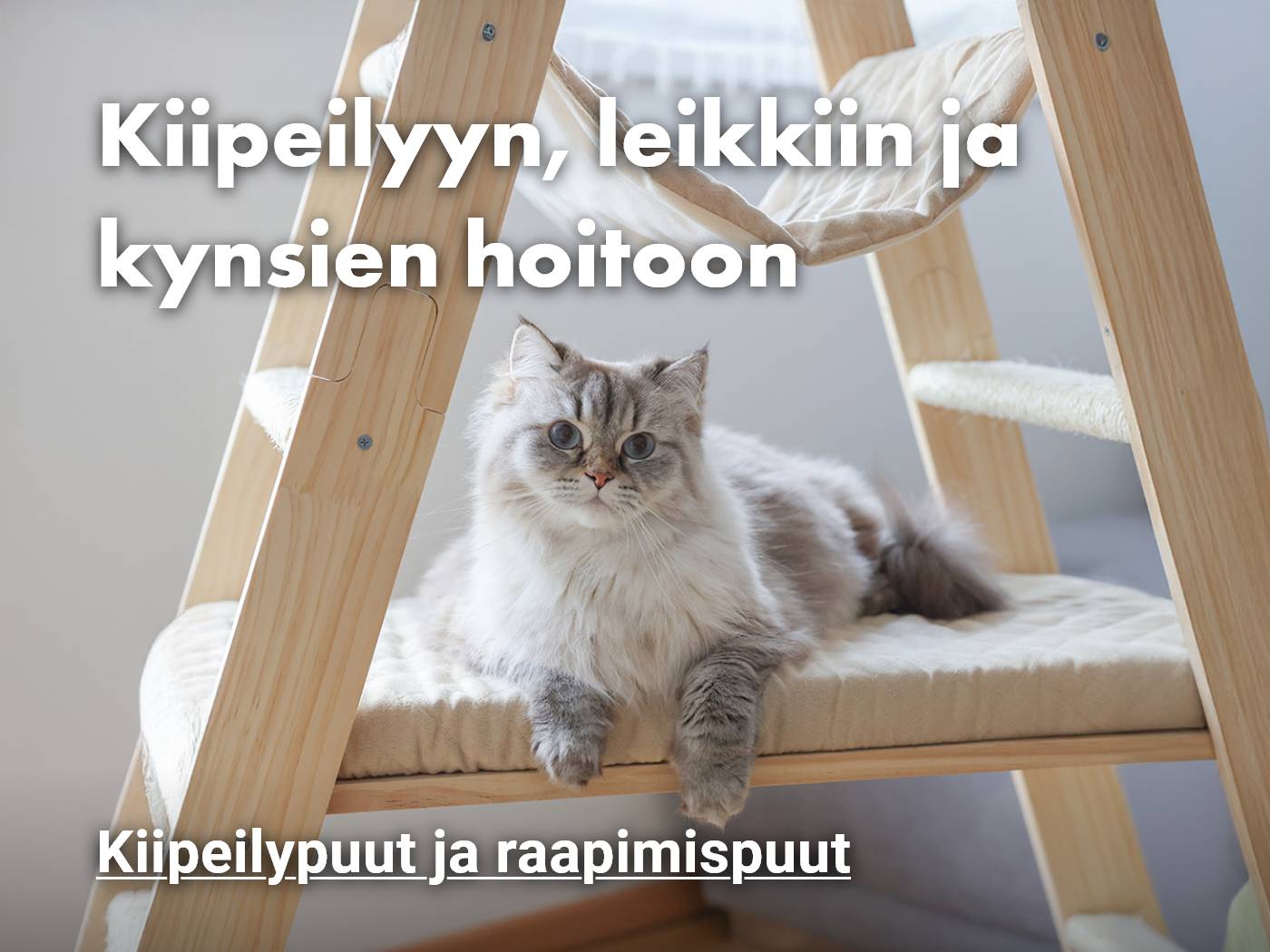 Tukevat kiipeilypuut kissalle, katso tuotteet!