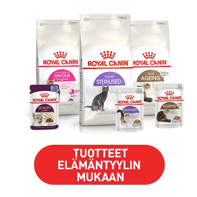 Suositut Royal Canin -kissan ruoat