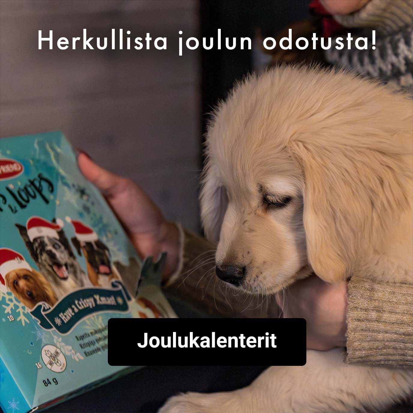 lemmikin joulukalenterit