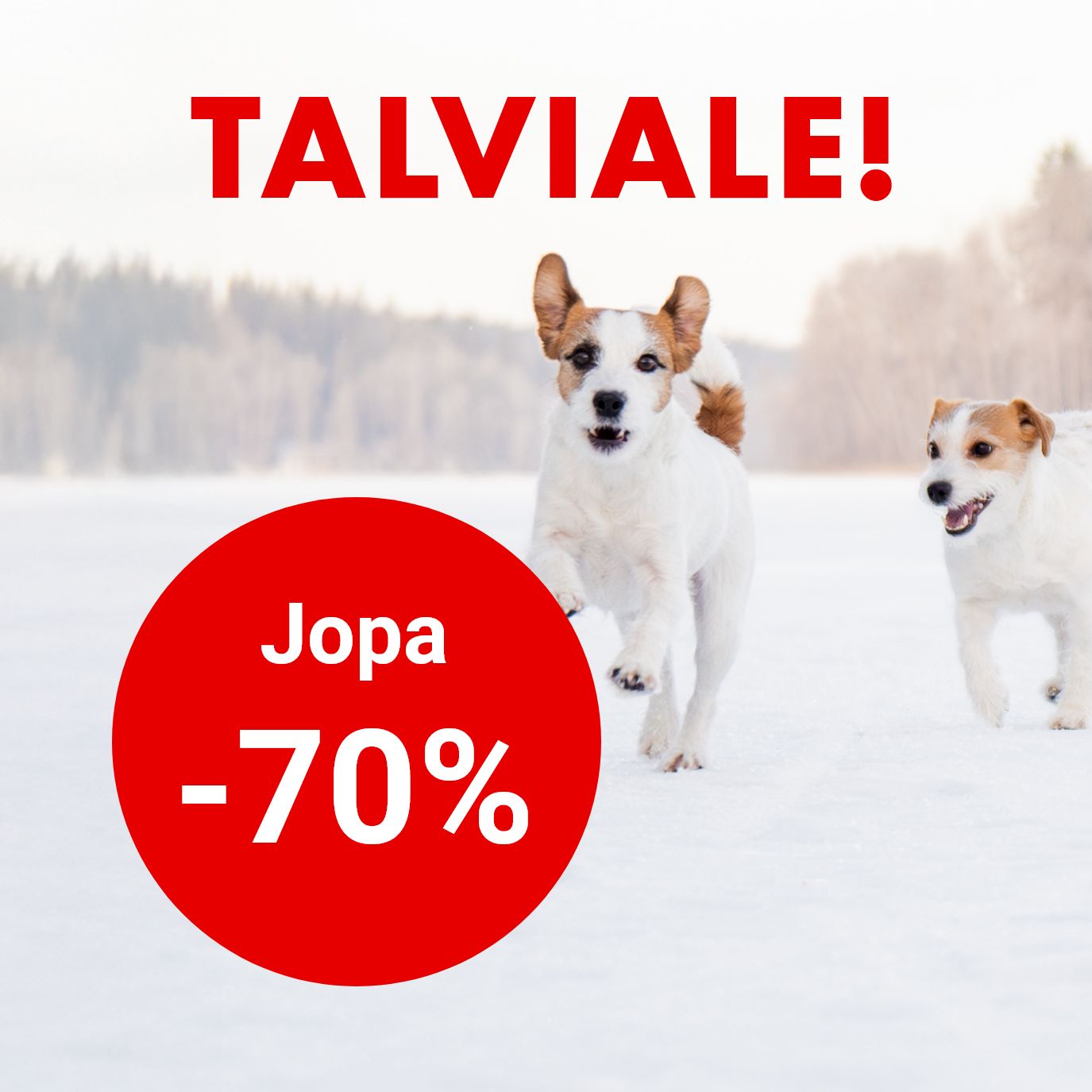 Talviale jopa -70% 21.1. asti