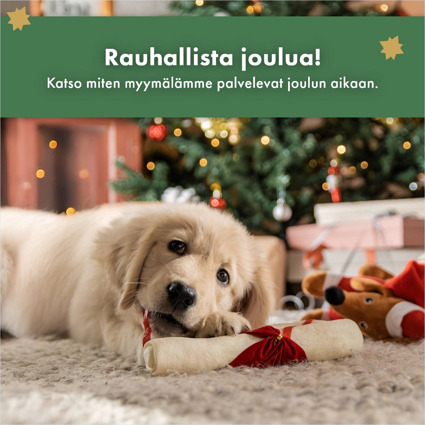 Hyv&auml;&auml; joulua! N&auml;in myym&auml;l&auml;mme palvelevat sinua joulunaikaan