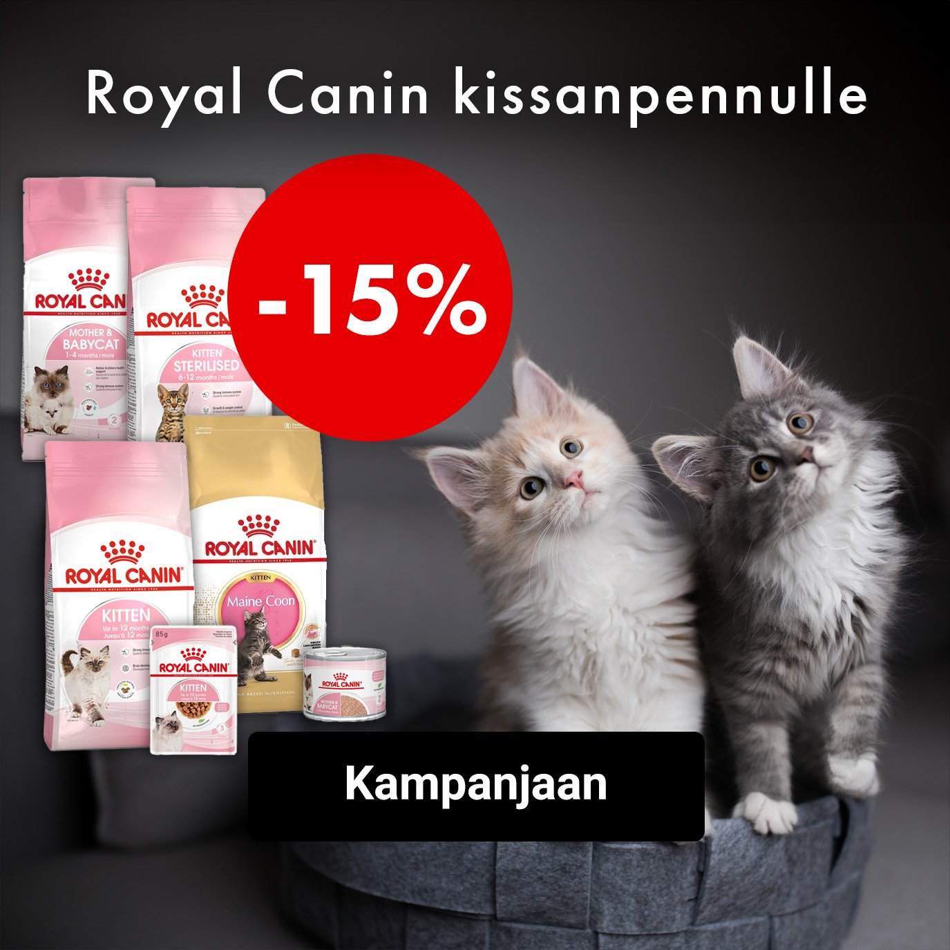 Royal Canin Kitten -15%