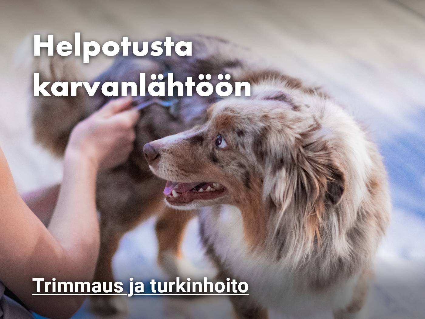 Vinkit ja tuotteet koiran karvanlähtöön