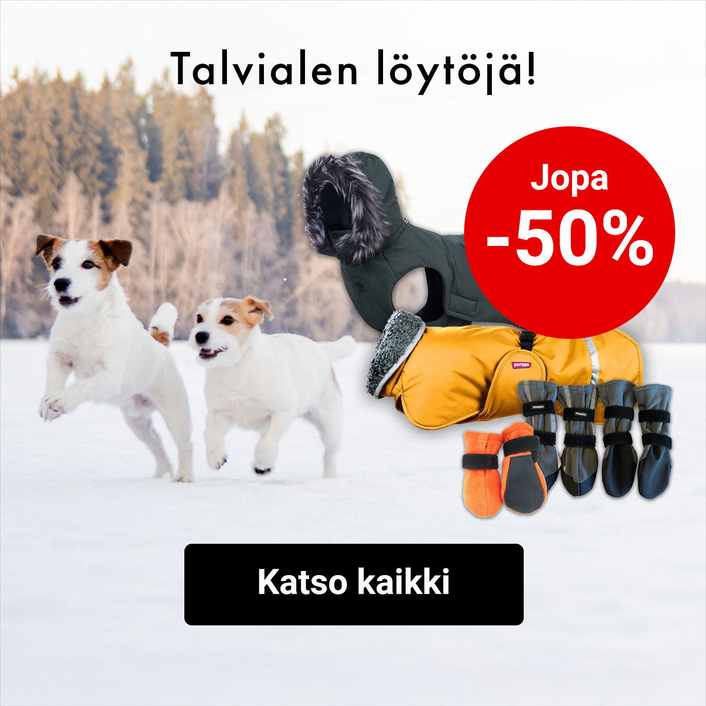 Talviale jopa -50%