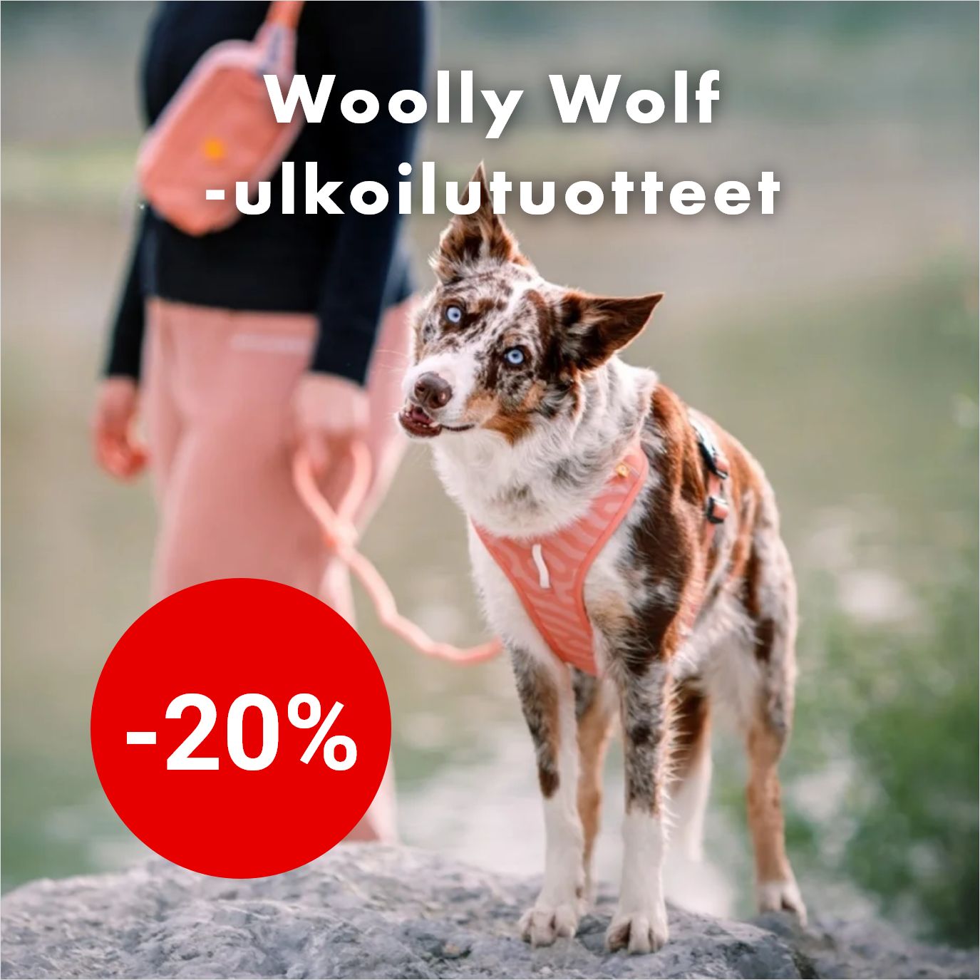 -20% Woolly Wolf -tuotteet