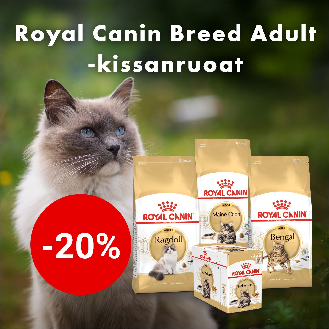 -20% Royal Canin Breed -kissanruoat