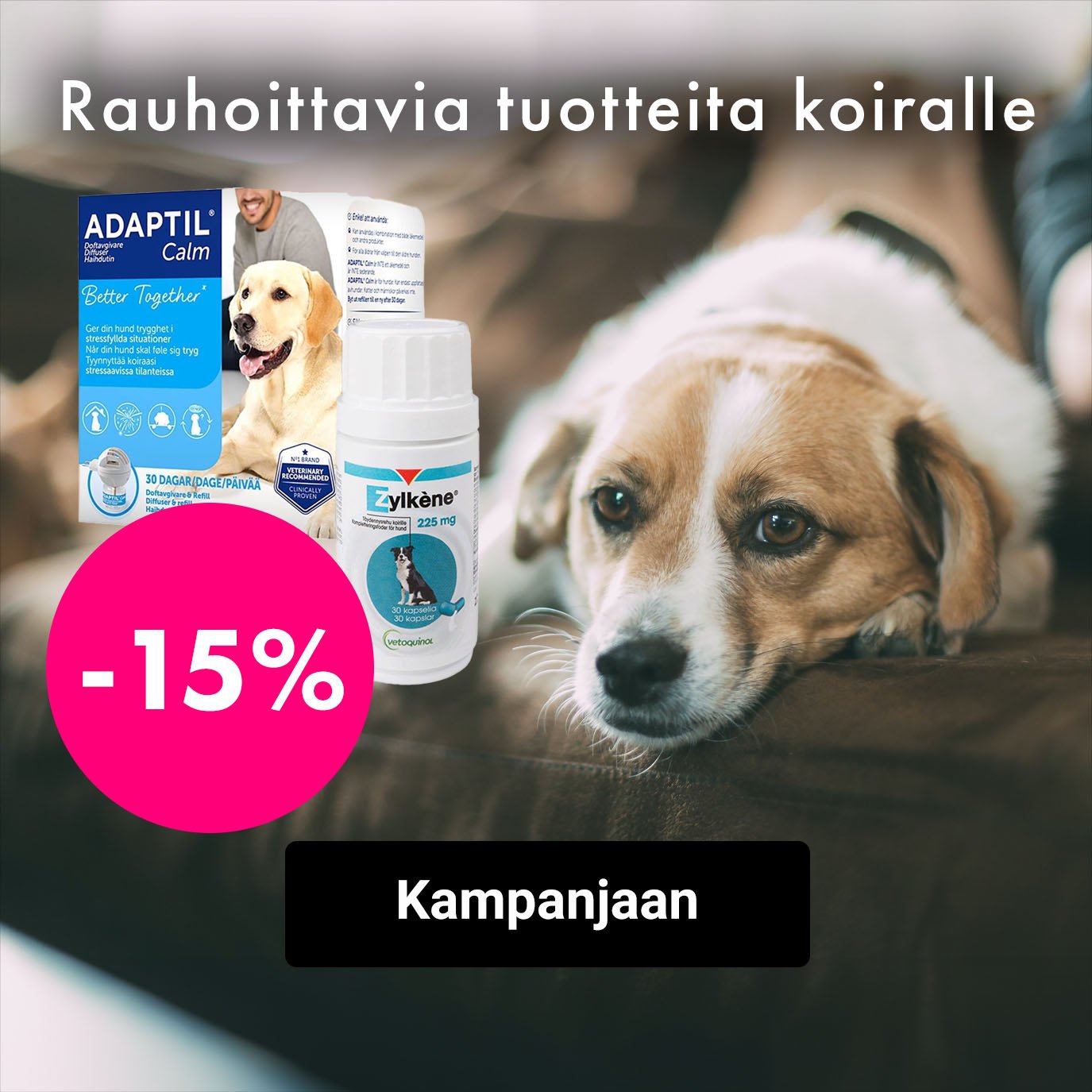 Rahoittavia tuotteita koiralle -15%