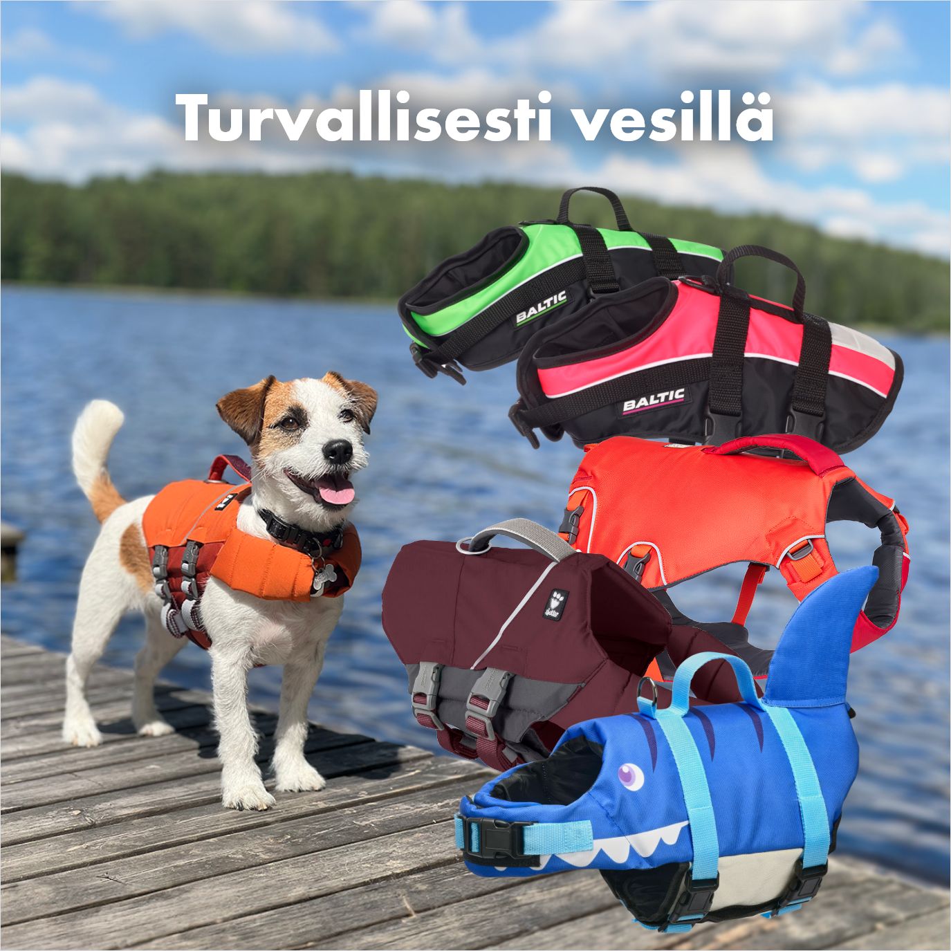 Koiran pelastusliivit