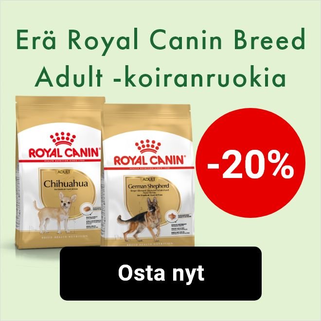 -20% Royal Canin Breed -koiranruoat (adult)
