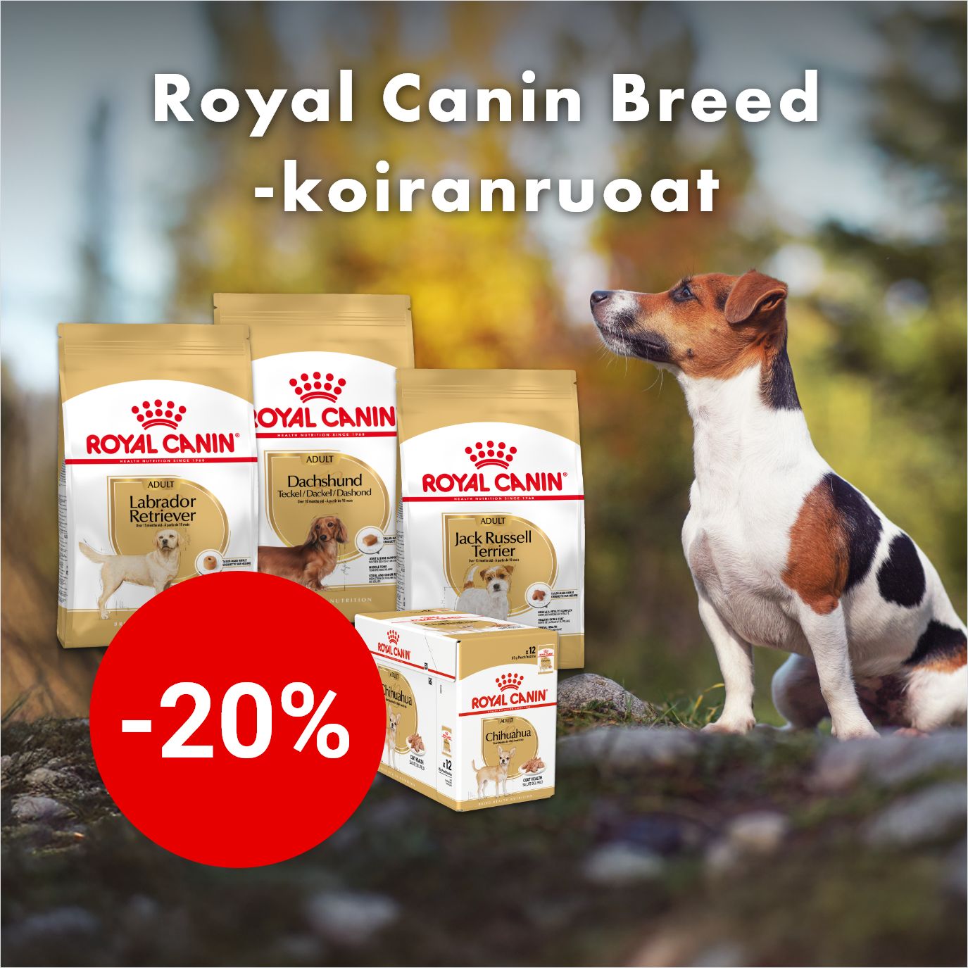 -20% Royal Canin Breed -koiranruoat (adult)