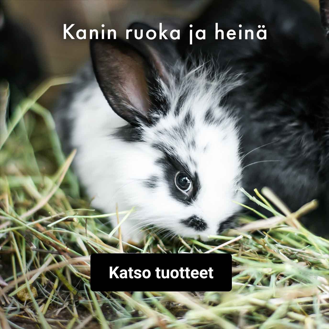 Kanin ruoka ja heinä