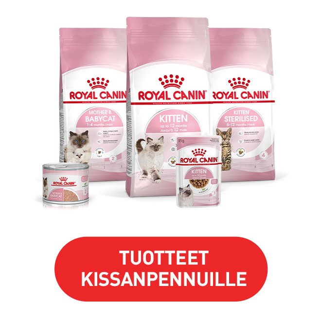 Royal Canin kissanpennuille