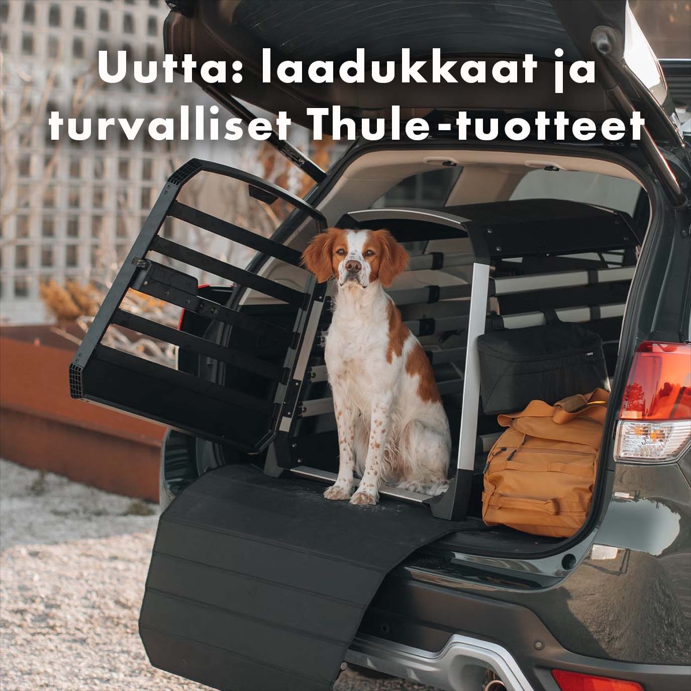 Uutta: Thule-tuotteet