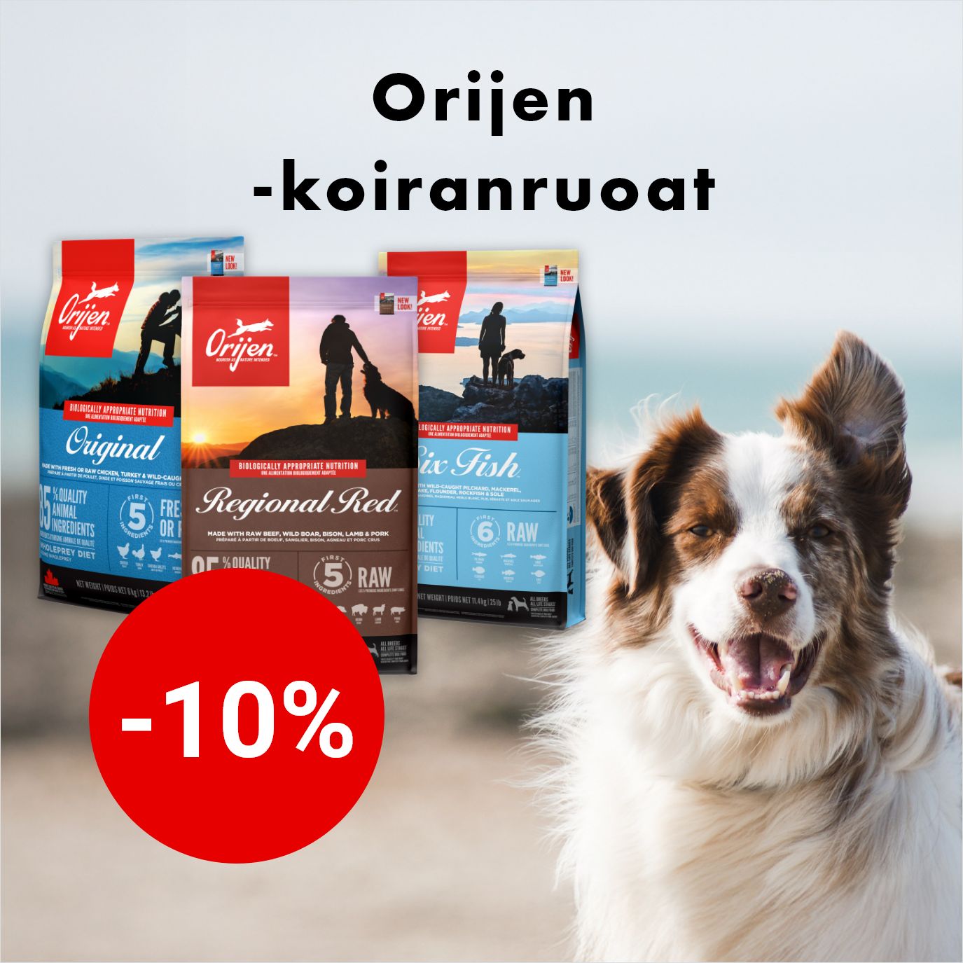 -10% Orijen-koiranruoat