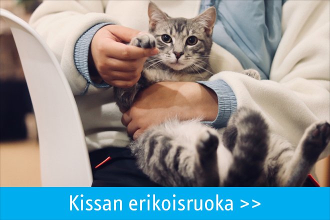 Kissan-Erikoisruoka