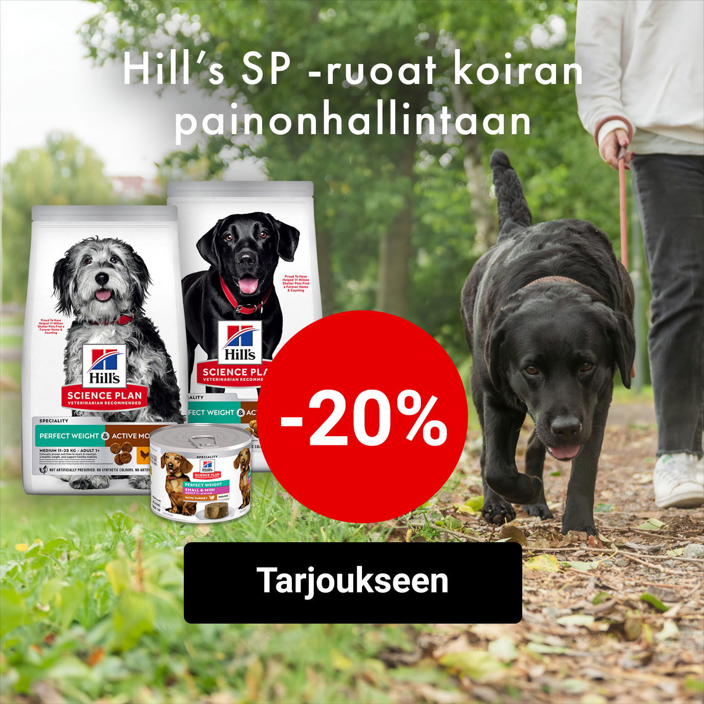 -20% Hills SP -ruoat koiran painonhallintaan