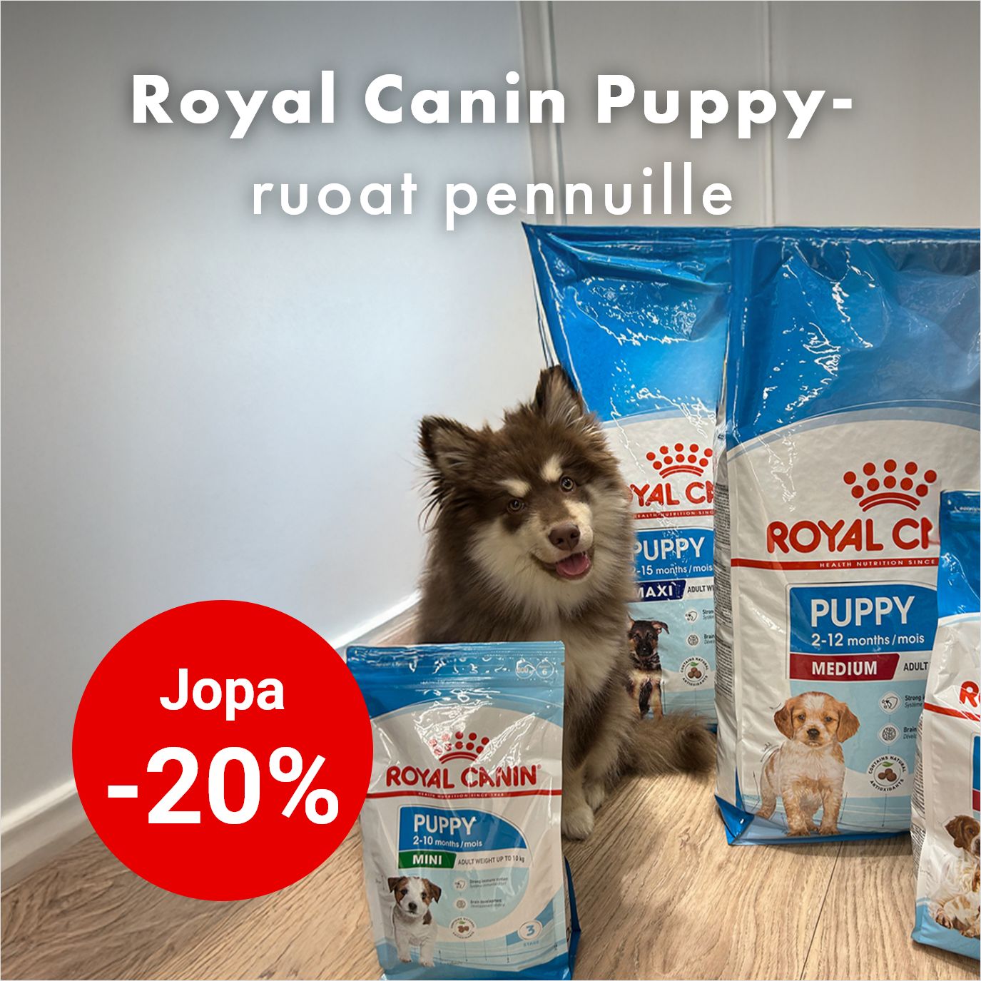Royal Canin penturuoat jopa -20% 30.9. asti.