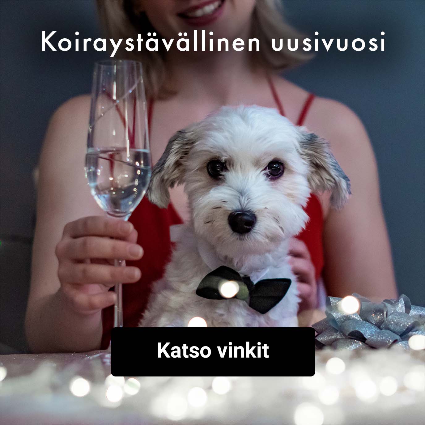 Vinkit koiraystävälliseen uuteenvuoteen