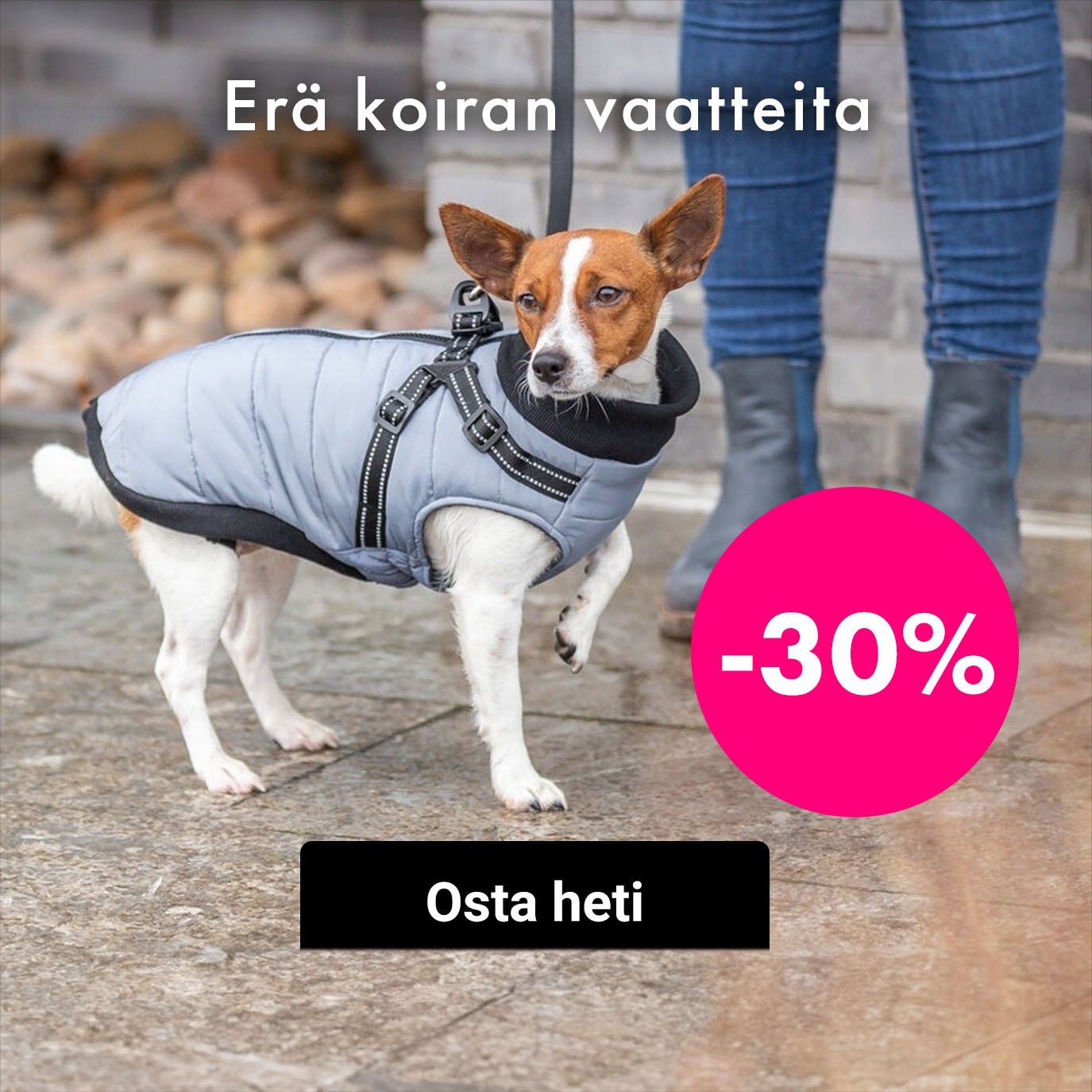 -30% Erä koiran vaatteita