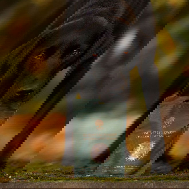 ESSENTIAL Duck, Herb & Apple Sausages 110 g