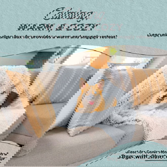 Best friend by sheri peitto, huurre 75 x 100 cm