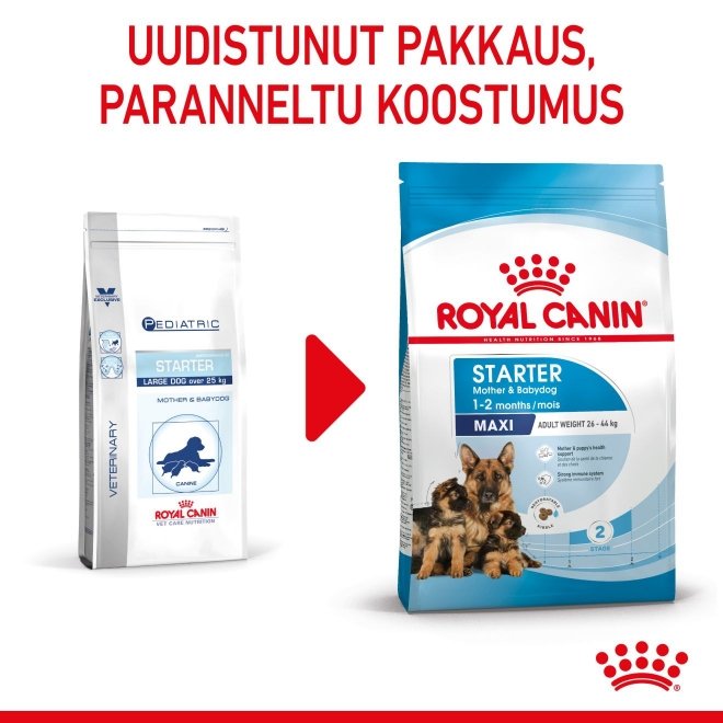 Royal Canin Maxi Starter