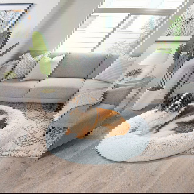 Koiran p&ouml;rr&ouml;peti Best Friends by Sheri,huurre (XL)