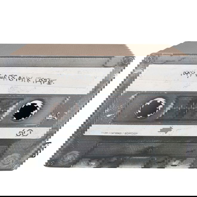 Kissan raapimislaatikko kasetti