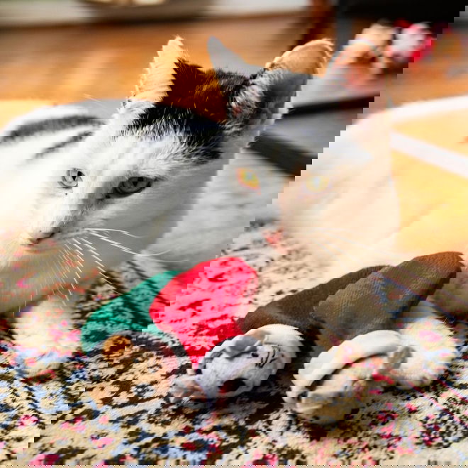 Rosewood Martha & Mayor Mice Duo