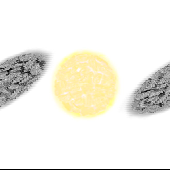 Royal Canin FHN Ageing 11+ kastikeessa 12 x 85 g